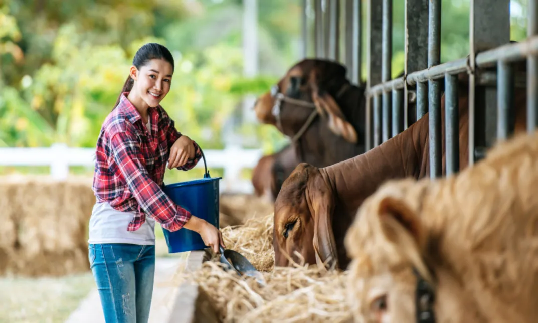 animal care course