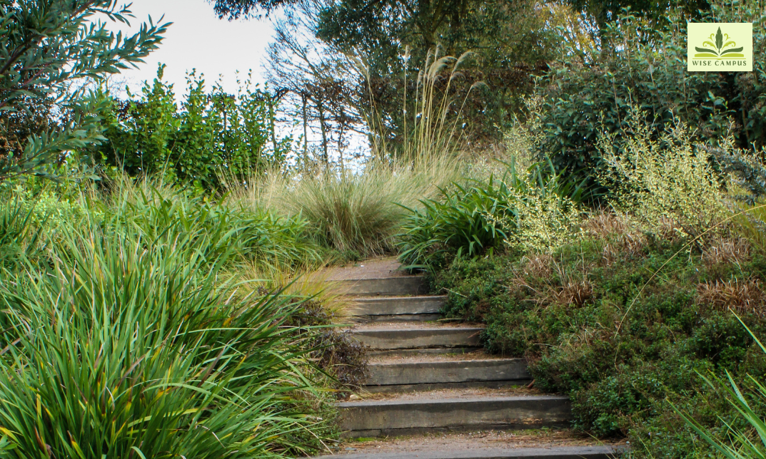 Garden Design Using Sleepers and Gravel