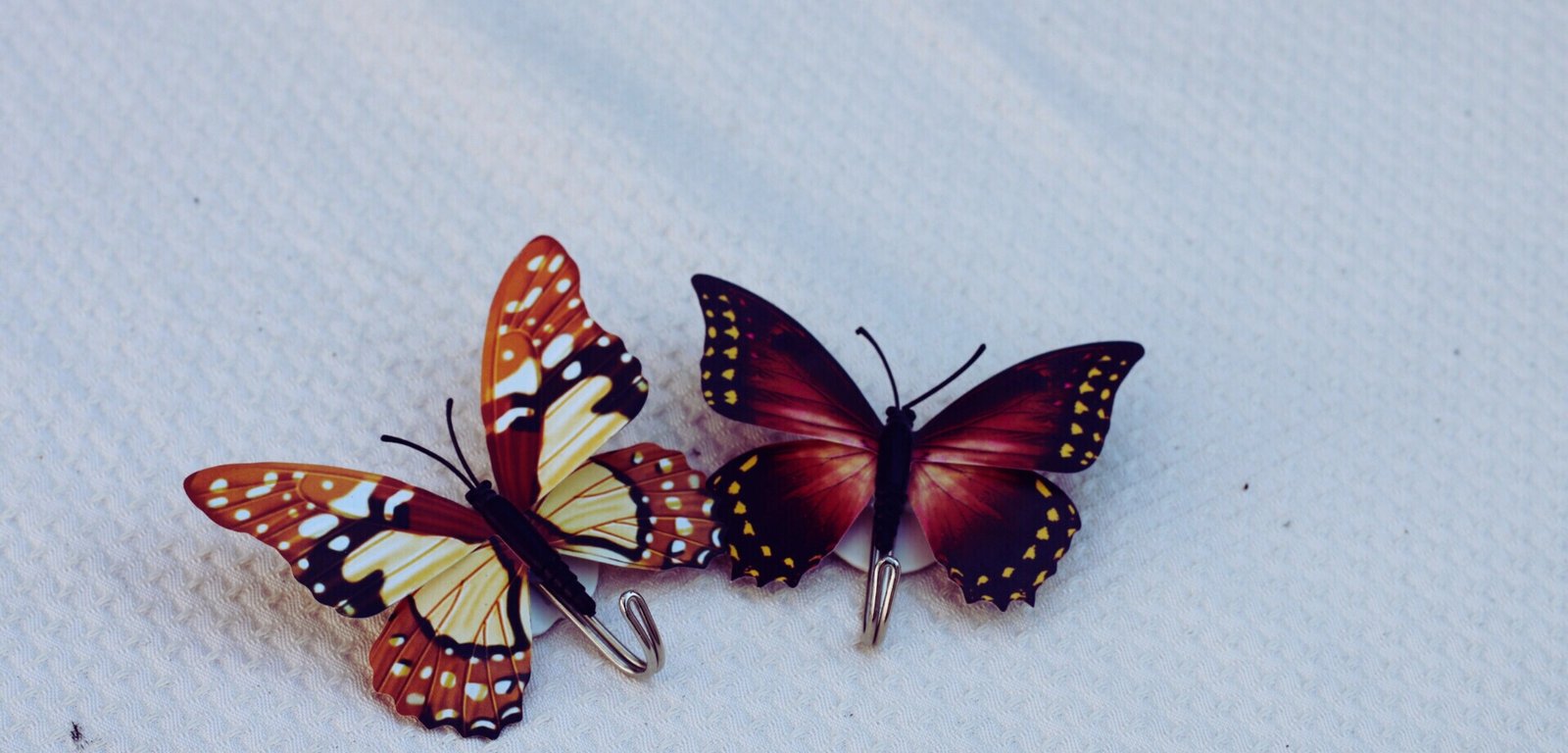 Why Are Butterflies Linked to Change and Transformation