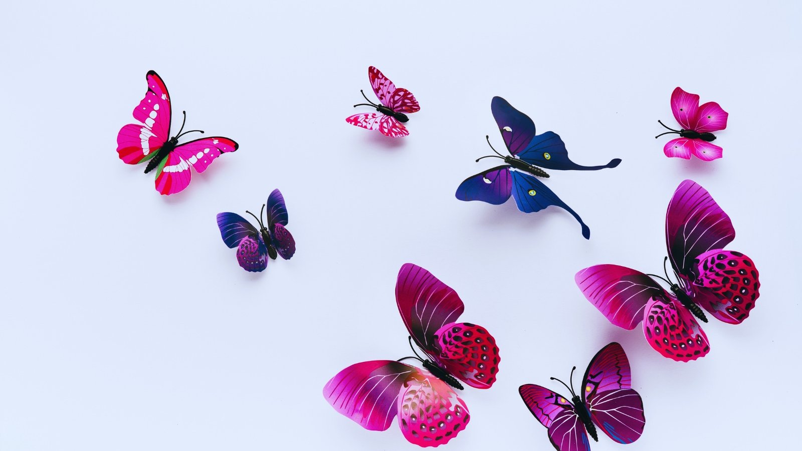 What Do Different Butterfly Tattoo Colours Mean
