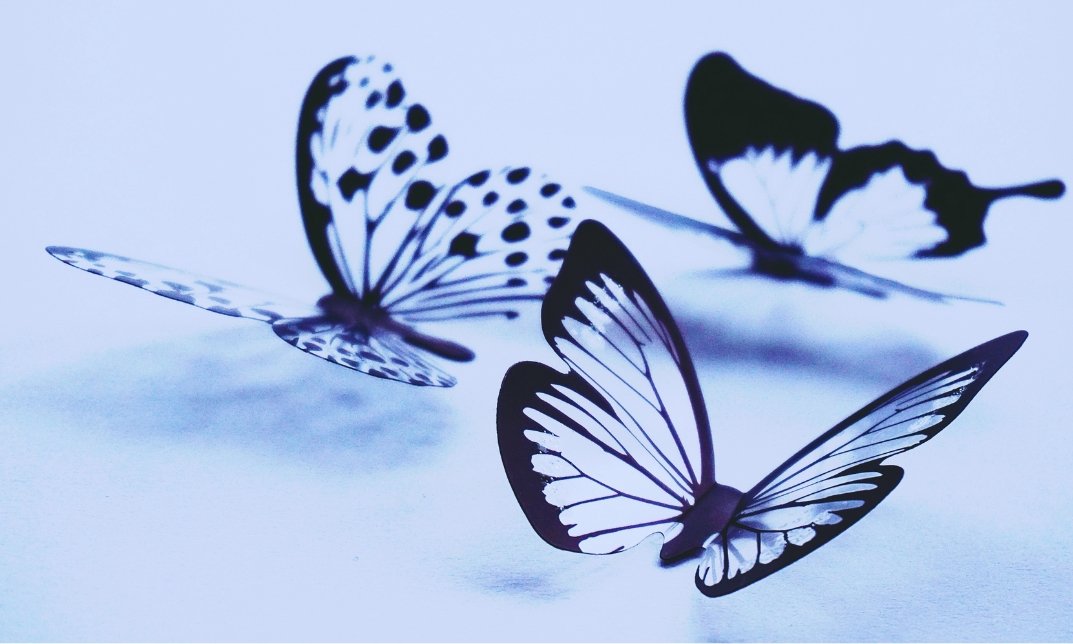 What Does Butterfly Tattoo Meaning