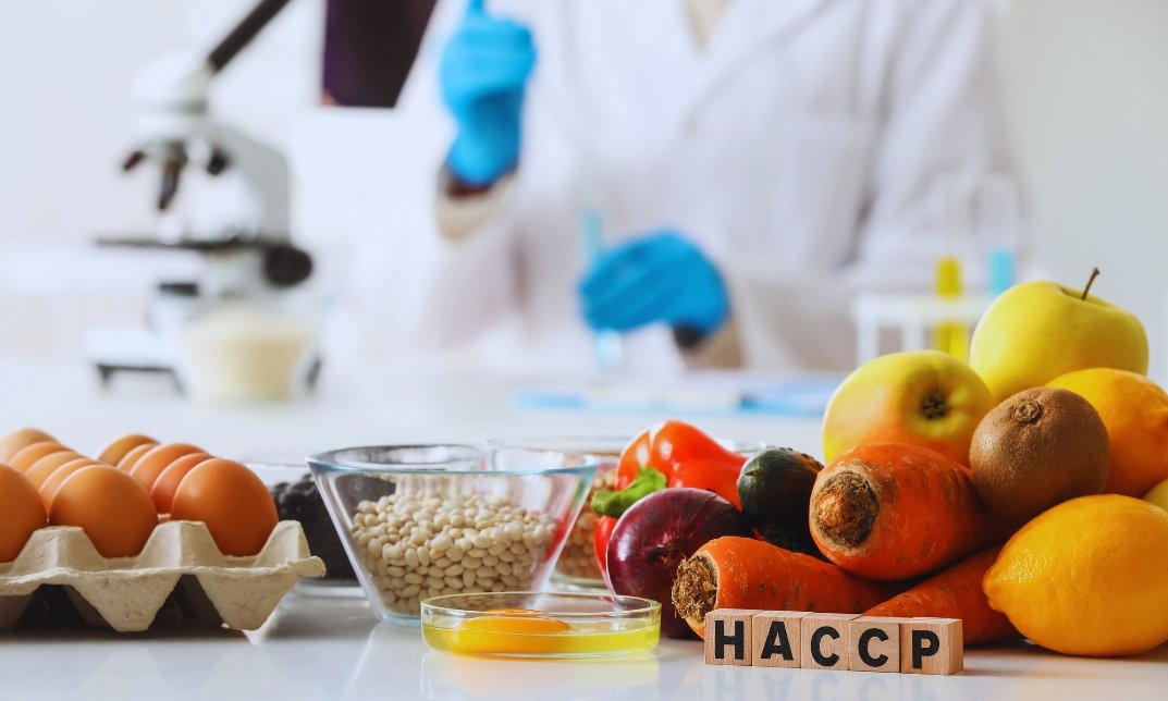 What are the HACCP 7 Principles