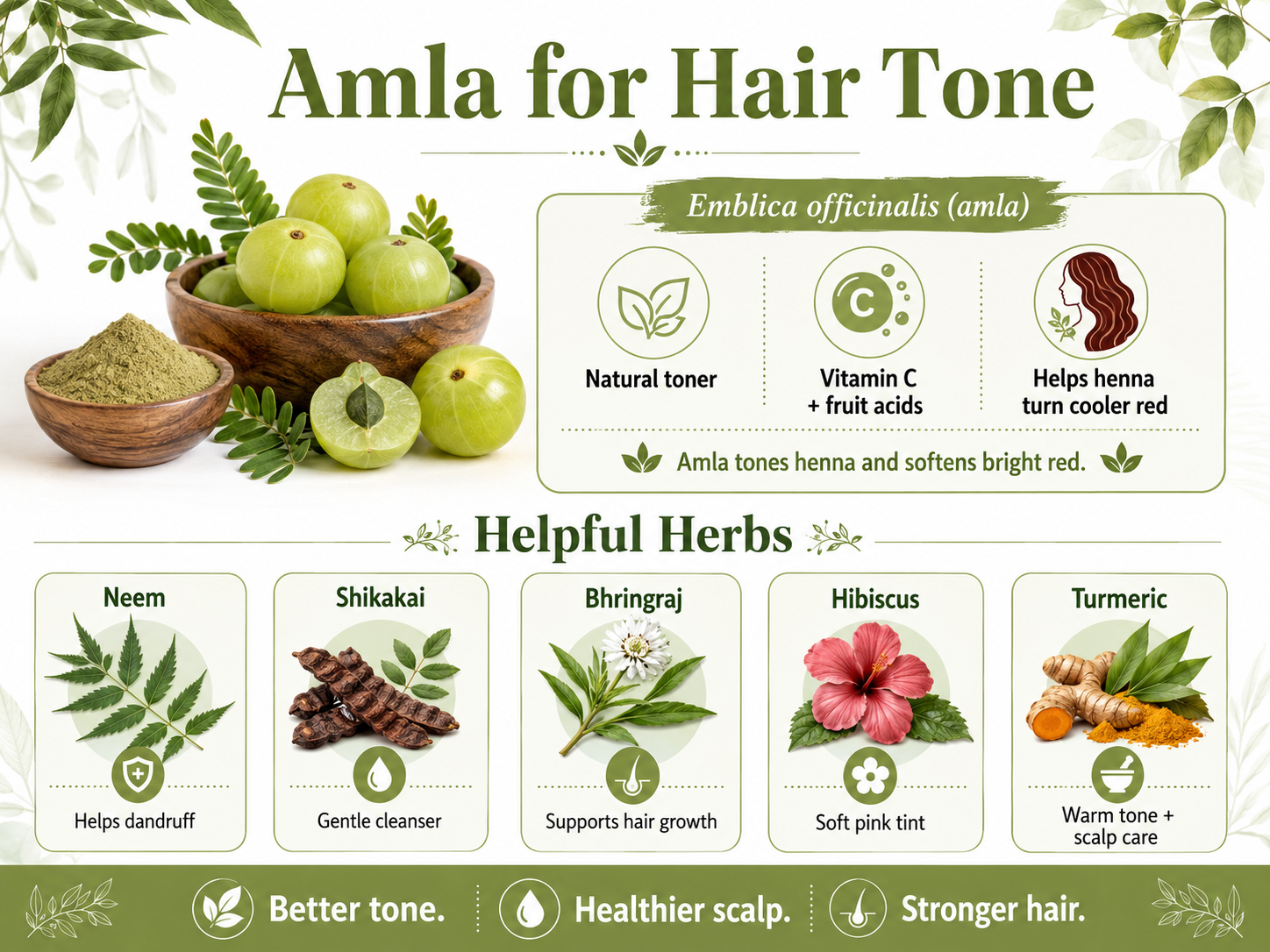 Why is Emblica officinalis vital for controlling your hair tone