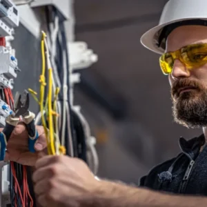 Professional Electrician