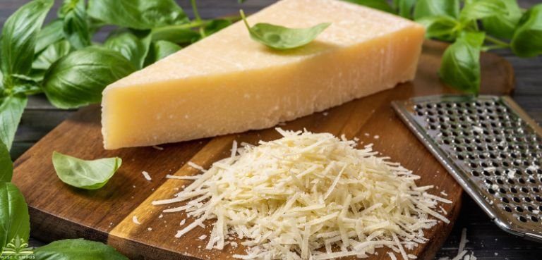 padano cheese vegetarian