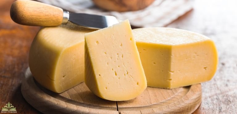 padano cheese vegetarian