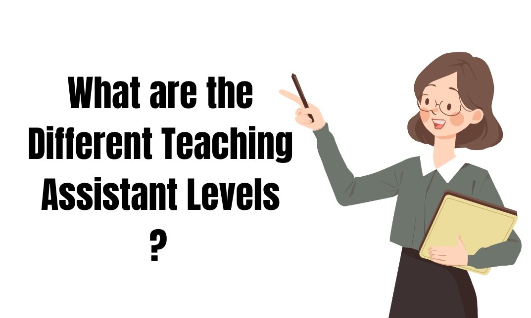 What are the Different Teaching Assistant Levels
