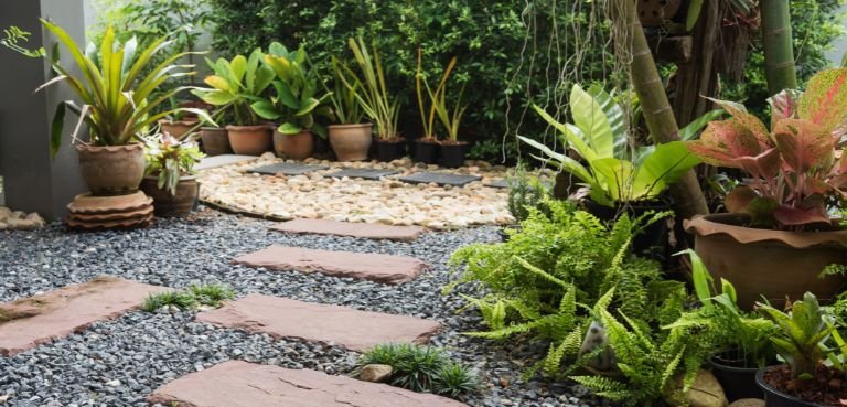 Suitable Plants for Gravel Gardens