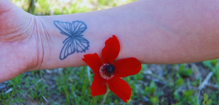 What Does a Butterfly Tattoo Mean