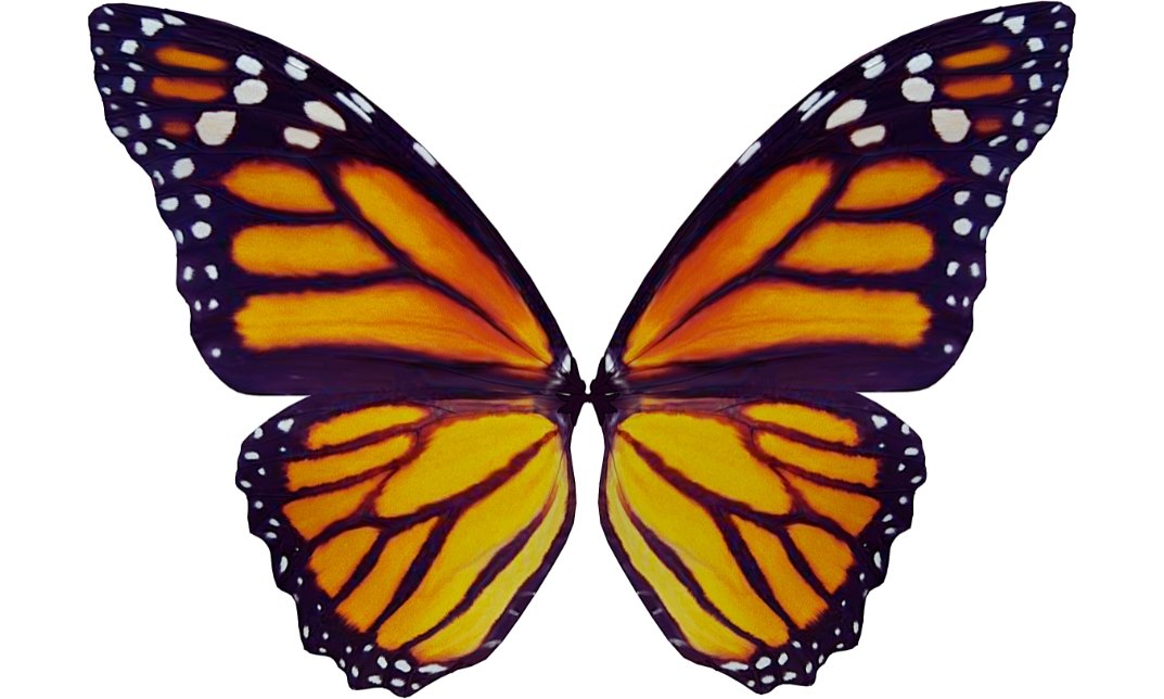 What Does a Butterfly Tattoo Mean?