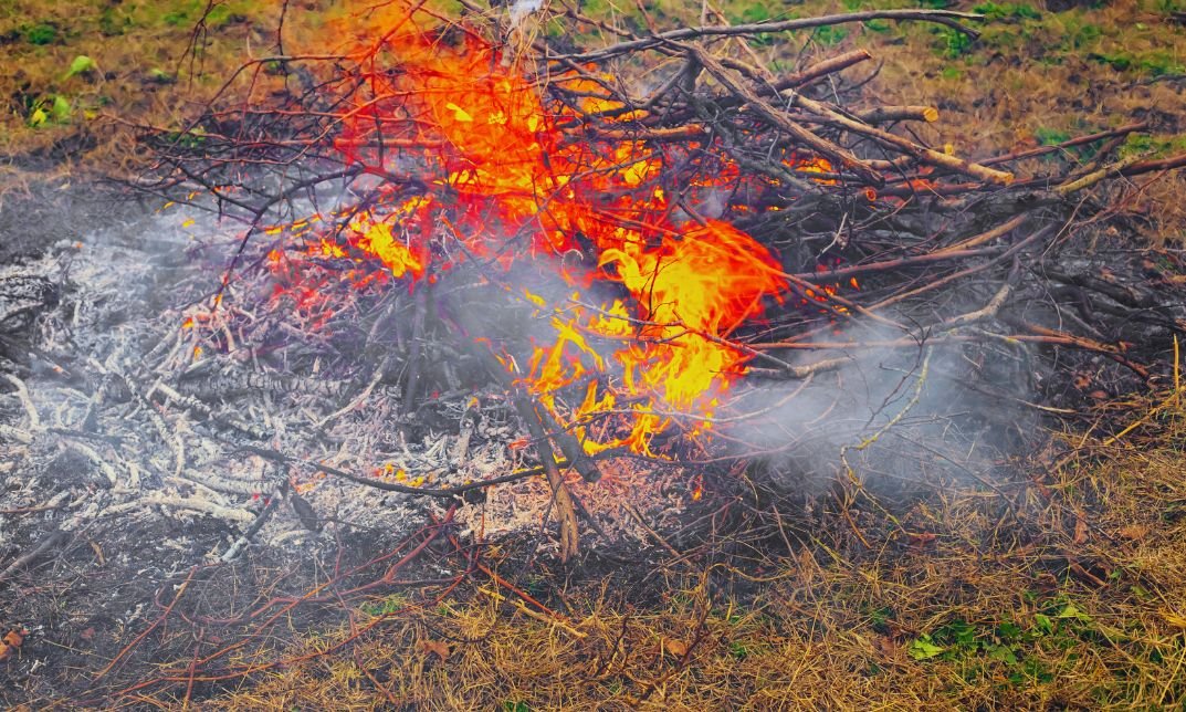 Can I burn garden waste?